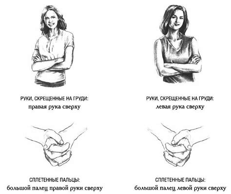 Культурные и социальные нюансы жеста среднего пальца