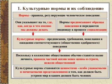 Культурные нормы и их регулирование