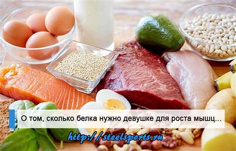 Курица: полезный источник белка для роста мышц