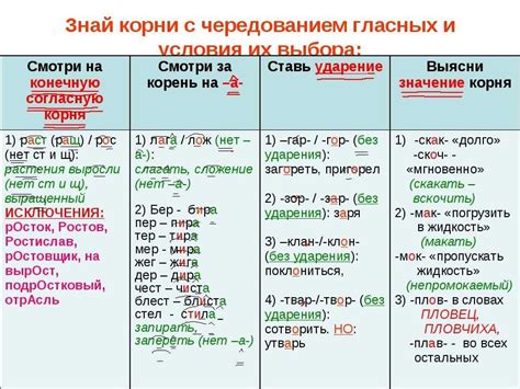 Лексические особенности корней и их чередование