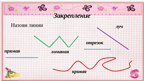 Линия: виды и значения