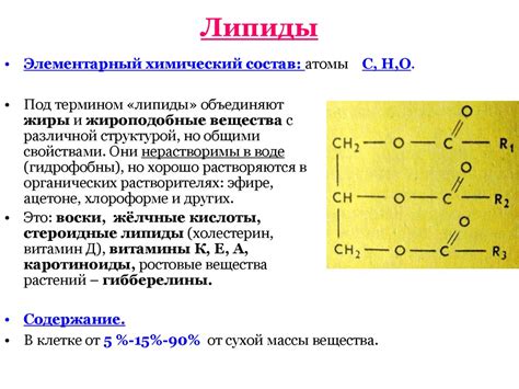 Липиды: разнообразие исключительных свойств