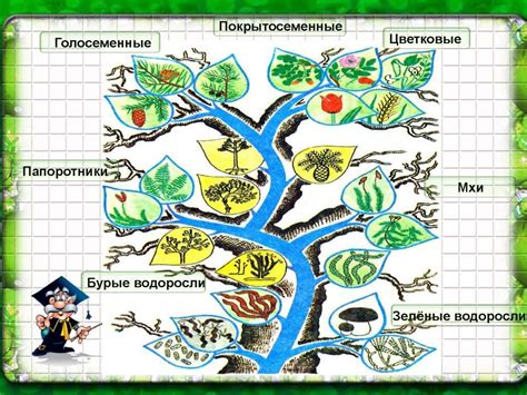 Лишение природы множества видов насекомых, растений и животных