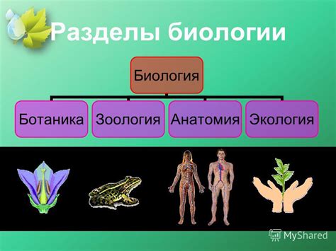 Логос - основа в биологии