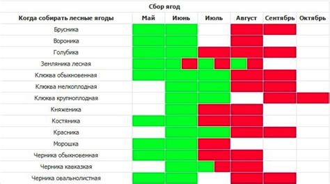 Лучшее время для сбора ягод: утро или вечер?