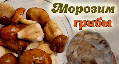 Лучший способ заморозки грибов