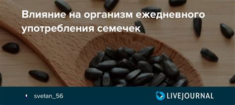 Маслино-организмический фонд: влияние на организм и возможные проблемы