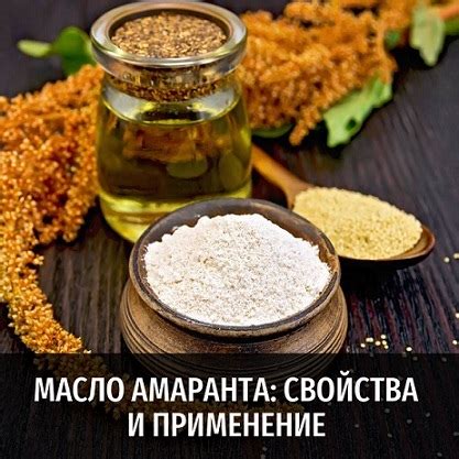 Масло амаранта и его целебные свойства