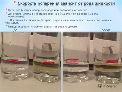 Масло подсолнечное: разогрев дольше или быстрее воды?