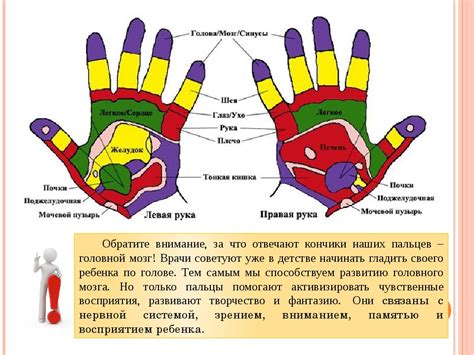 Массаж для пальцев Джина