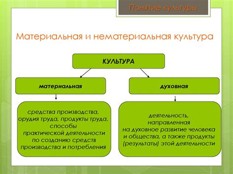 Материальная культура и потребления