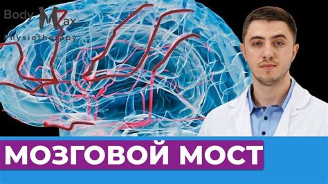 Медикаментозная терапия для повышения мозгового кровообращения