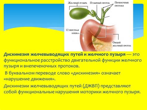 Медикаментозное лечение гипомоторной дискинезии желчного пузыря