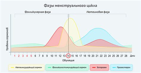 Медицинские консультации по поводу мазни на 13 день цикла