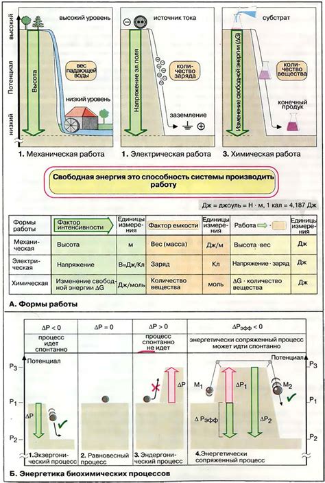 Межличностная химия и энергетика