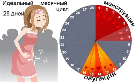 Менструальный цикл как причина покалывания внизу живота у женщин