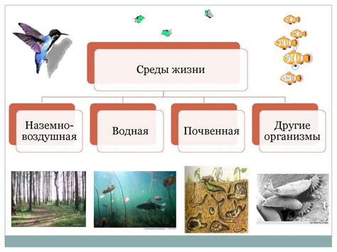 Места обитания в биологии