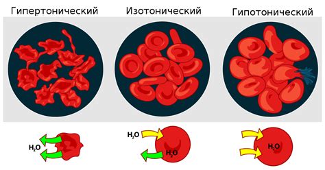 Методы анализа плазмы крови