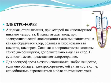 Методы диагностики и лечения анэхогенного содержимого