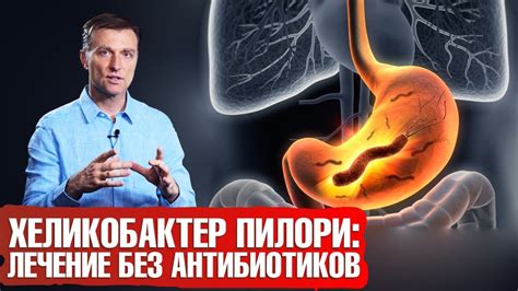 Методы защиты от хеликобактер пилори