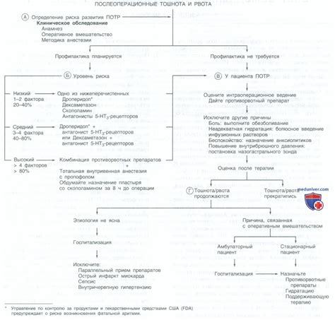 Методы лечения тошноты и рвоты