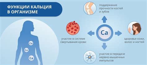 Методы определения уровня кальция в крови