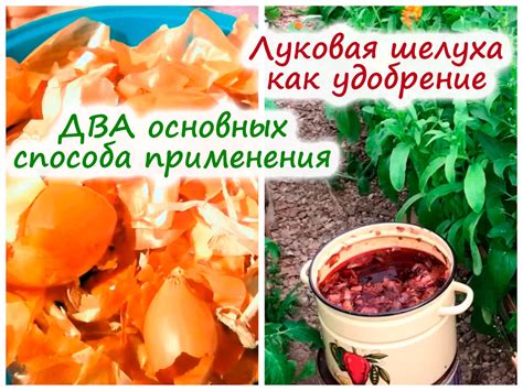 Методы удаления луковой шелухи