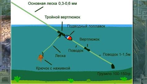 Метод херабуна: история и суть процесса