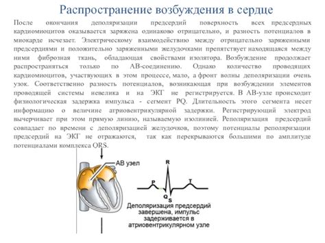 Механизмы изменений в процессе деполяризации предсердий