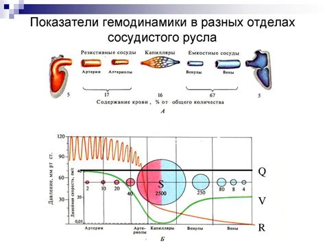 Механизмы изменения сосудистого тонуса