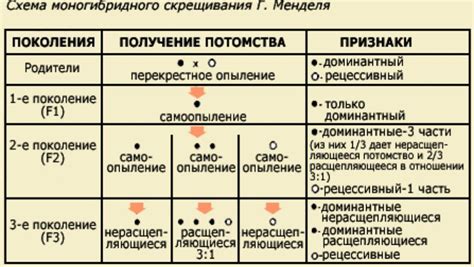 Механизмы нарушения цитологической чистоты гамет