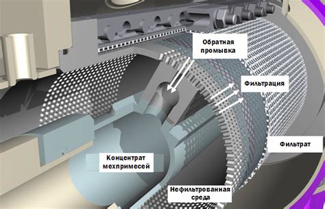 Механизмы самоочистки