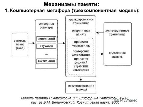 Механизмы функционирования видовой памяти