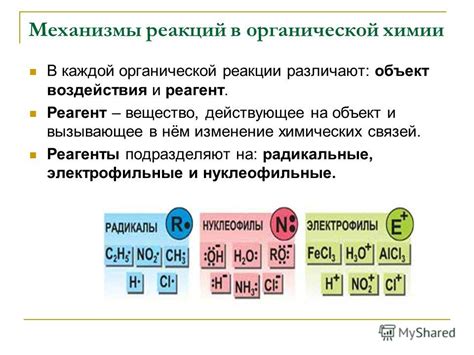 Механизмы чувственных и эмоциональных реакций