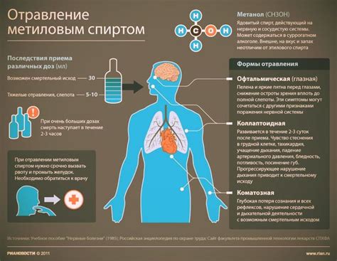 Механизм действия закалки на организм человека