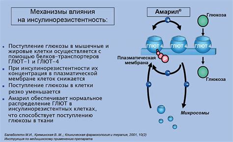 Механизм действия и назначение Аркоксии