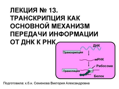 Механизм передачи наследственной информации