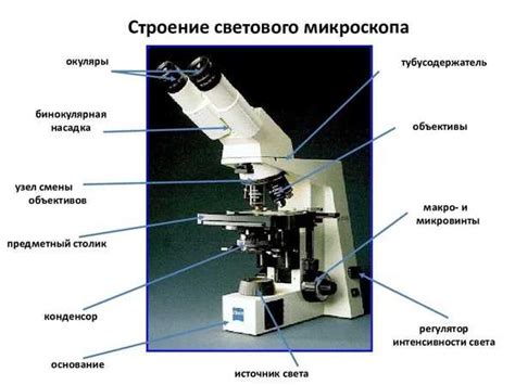 Микрометрический винт и его роль в микроскопе