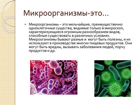 Микроорганизмы и их клетки