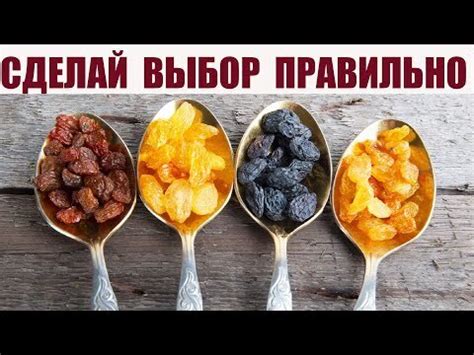 Минералы как источник питательных веществ