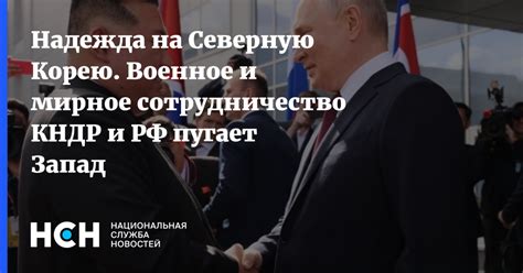 Мирное сотрудничество