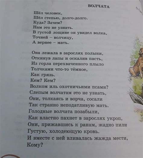 Мир в стихотворении и его визуальное восприятие