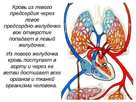 Мистический аспект крови из левого глаза в снах