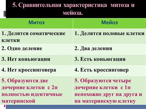 Митоз: общие черты и отличия