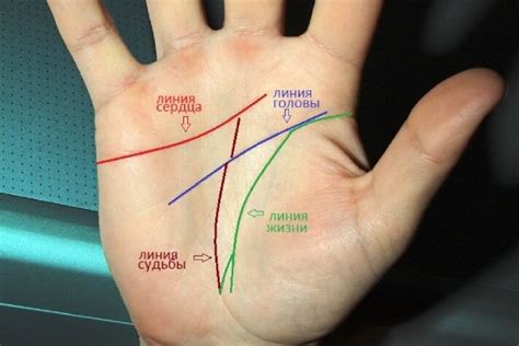 Мифы и предрассудки о линиях на ладонях