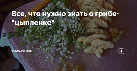 Мифы и факты о цыпленке в собственном соку: что нужно знать