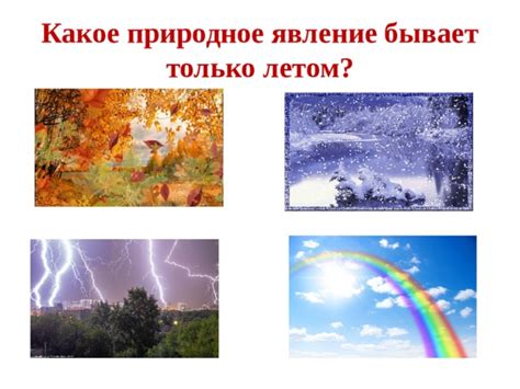 Много ос летом: природное явление или предзнаменование чего-то большего?