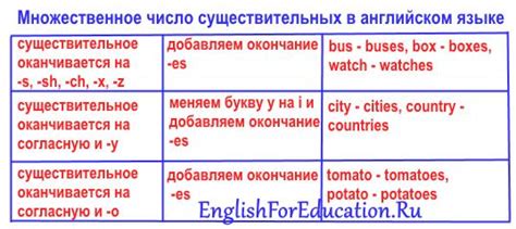 Множественное число: общие правила