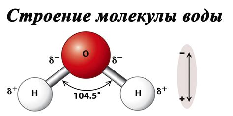 Молекула воды