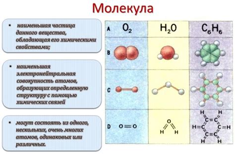 Молекула и ее состав